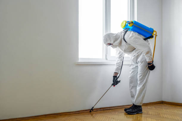 Best Insect Control  in Centerville, UT