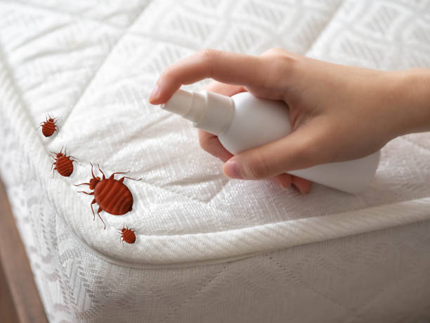 Best Pest Control for Restaurants  in Centerville, UT